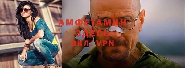 гидра Арсеньев
