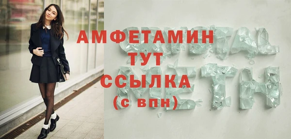 гидра Арсеньев