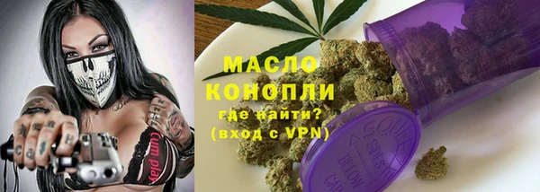 гидра Арсеньев